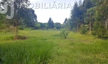 Imagem 5: Chácara à venda por R$ 5300000.00, 76230.00 m2 - SAO JOAO DO RIO VERMELHO - FLORIANOPOLIS