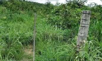 Imagem 6: FAZENDA (324 Hectares), EM VARGEM GRANDE MT