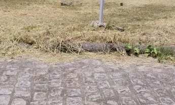 Imagem 3: 3? Condomínio fechado | 166,97m²