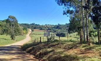 Imagem 4: Área à venda, 20000 m² por R$ 200.000,00 - Zona Rural - Criúva (Caxias do Sul)/RS