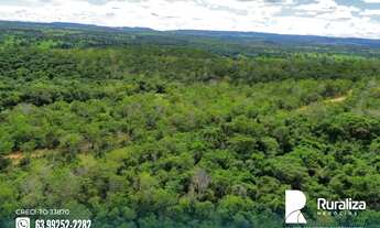 Imagem 2: Palmas - TO Fazenda 30 km de Palmas -TO