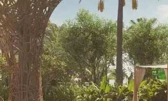 Imagem 4: Apartamento na beira mar de São Miguel dos Milagres Alto Padrão