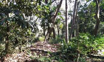 Imagem 3: Lote em condomínio em Rua Represinha - Granja Viana - Cotia/SP