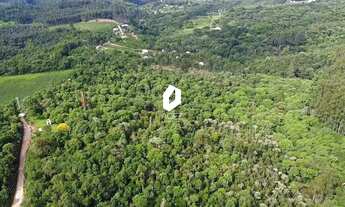 Imagem 5: Terreno Rural com 28.000 m² a 15 Min do Centro de Colombo Oportunidade Única