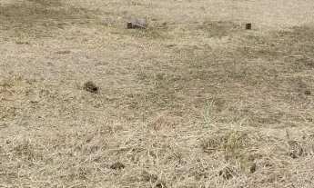 Imagem 2: 3? Condomínio fechado | 166,97m²