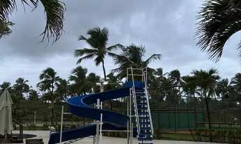 Imagem 3: Lote maikai, melhor oferta^