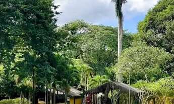 Imagem 5: SITIO EM GUARATIBA