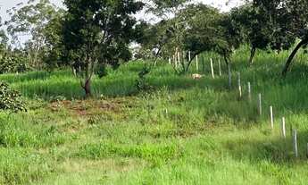 Imagem 6: ? Vendo lindo sítio em Palmas/TO - sentido Taquarussu/Buritirana