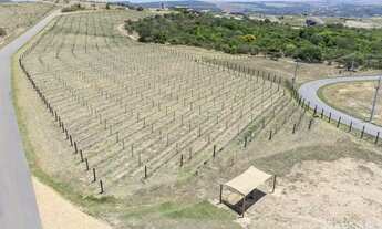 Imagem 6: Lote 706 m² Fazenda Canoa , Silvânia-GO , as margens do lago corumbá IV