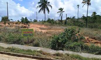 Imagem 4: Lote para Venda em Paripueira, Centro