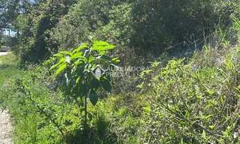 Imagem 6: Loteamento Bosque das Araucárias - Linha Imperial