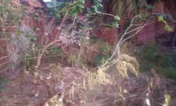 Imagem 2: Terreno 11x9 Terreno / lote com venda por R$20.000