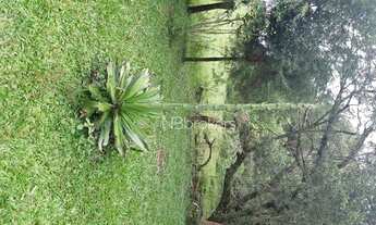 Imagem 3: Chácara à venda, 43700 m² por R$ 990.000,00 - Estação - Araucária/PR