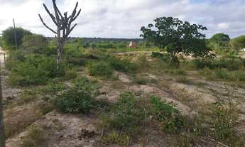 Imagem 2: 02 Tarefas no Povoado da Izabel na Baira da Pista