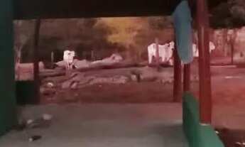 Imagem 3: Fazenda em crixas