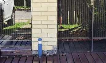 Imagem 6: Alugo casa em jurere internacional a 200 metros da praia