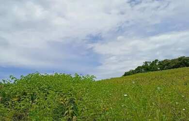 Imagem 6: Terrenos no interior de São Paulo - 500m² - Ibiuna