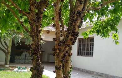 Imagem 2: Troco casa em jarinu por sítio