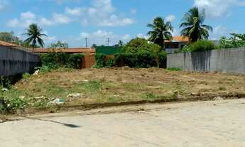 Imagem 7: Lote à venda em rua pública, CENTRO, Barra de São Miguel, AL