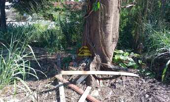 Imagem 3: Pechincha Terreno / lote com venda por R$1.800.000