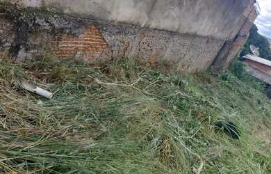 Imagem: Lote no frei Eustáquio