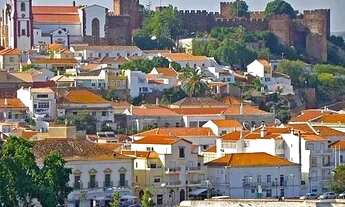 Imagem 5: Lote Terreno Município de Silves-AM 12.000m² Financia