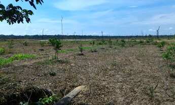 Imagem 4: Sitio de 21 Alqueires Baixei preço