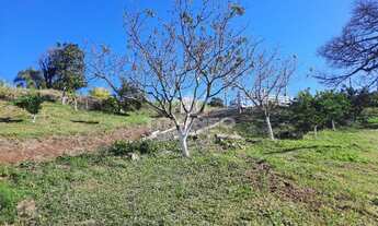 Imagem 4: Sítio em Figueira, Três Coroas - ST00415