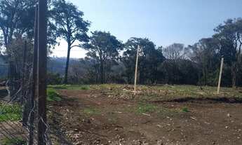 Imagem 5: CAXIAS DO SUL - Terreno Padrão - Vila Lobos