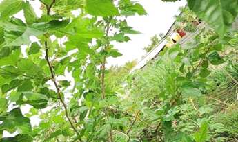 Imagem 7: Vende-se terreno 600m² Humaitá-AM