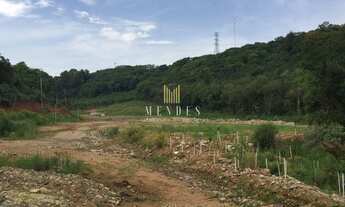 Imagem 3: CAXIAS DO SUL - Terreno Padrão - LINHA 40