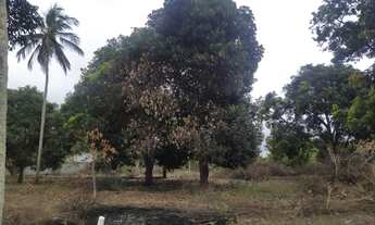 Imagem 6: Lote/Terreno para venda tem 48000 metros quadrados em SIM - Feira de Santana - BA