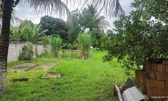 Imagem 6: Terreno no Rio São Francisco (Chatuba