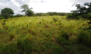 Imagem 4: Terreno com 43 Tarefas