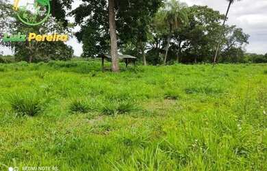 Imagem 4: FAZENDA À VENDA NO FORMOSO DO ARAGUAIA -TO - 2,008 HECTARES (DUPLA APTIDÃO