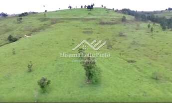 Imagem 2: Venda - Sítio 20 Alqueires, Torre de Pedra/SP