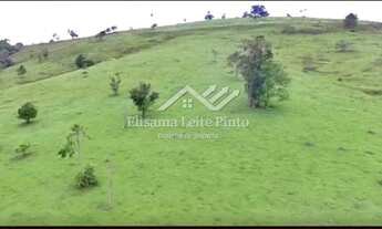 Imagem 4: Venda - Sítio 20 Alqueires, Torre de Pedra/SP