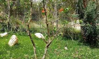 Imagem 4: Vendo chácara Chácara com venda por R$250.000