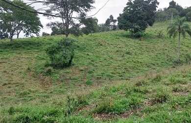 Imagem 2: Sitio Chácara com venda por R$385.000