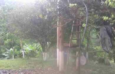 Imagem 5: Sitio ascurra Chácara com venda por R$190.000