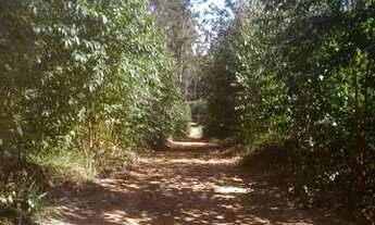 Imagem 5: ASF+. JR. Terrenos próximo do centro de Mairinque