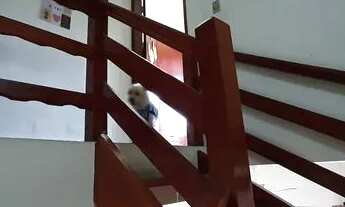 Imagem 4: Casa com 2 dormitórios, 60 m² - venda por R$ 340.000,00 ou aluguel por R$ 1.995,74/mês - P