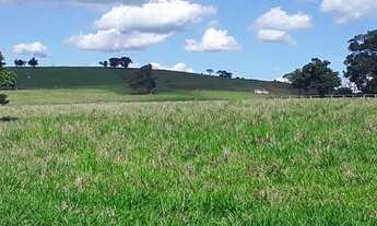 Imagem 7: Fazenda à venda, 1016400 m² por R$ 565.000,00 - Chácara Paraíso - Jacarezinho/PR