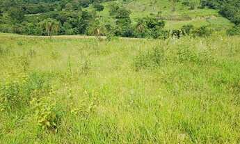 Imagem: Sitio dupla aptidão, Boi, café