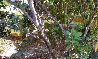 Imagem 5: Casa Duplex 5 quartos em Jardim América Cariacica ES parte alta