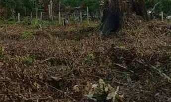 Imagem 6: Sítio Rio Preto da Eva 98km