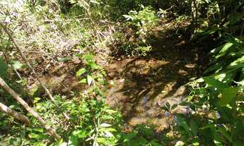 Imagem 7: Fazenda/Fazendinha/Sítio/Chácara 40 Hectares, Pará de Minas / Florestal - MG