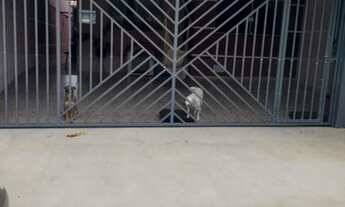 Imagem 3: Casa para venda tem 100 metros quadrados com 3 quartos