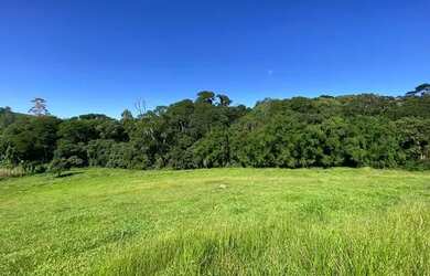 Imagem 3: LP - Vendo terreno próximo de comércios