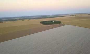 Imagem 2: Fazenda de 4.800 hectares em Sapezal-MT